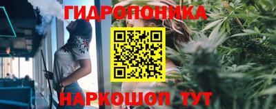 каннабис Владимир