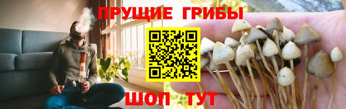 Иваново  Галлюциногенные грибы мицелий  Вход с VPN 